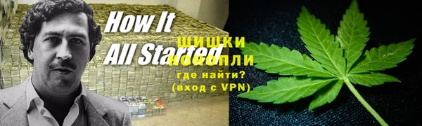 эйфоретик Новозыбков