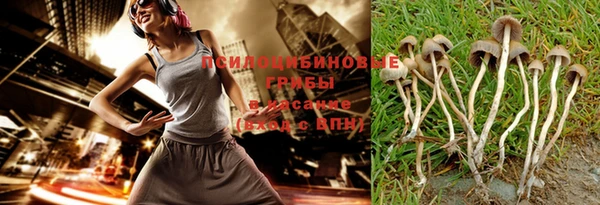 mdpv Новодвинск