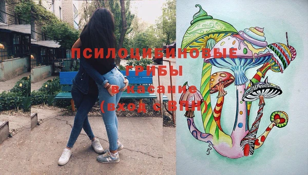 mdpv Новодвинск