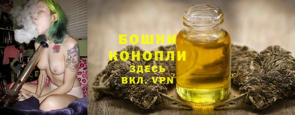 эйфоретик Новозыбков