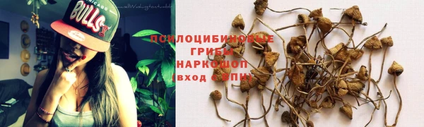 mix Белая Холуница